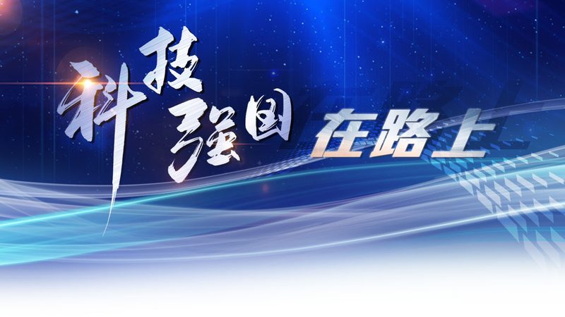 智能客服数据分析：揭秘上海领先企业的数据驱动力