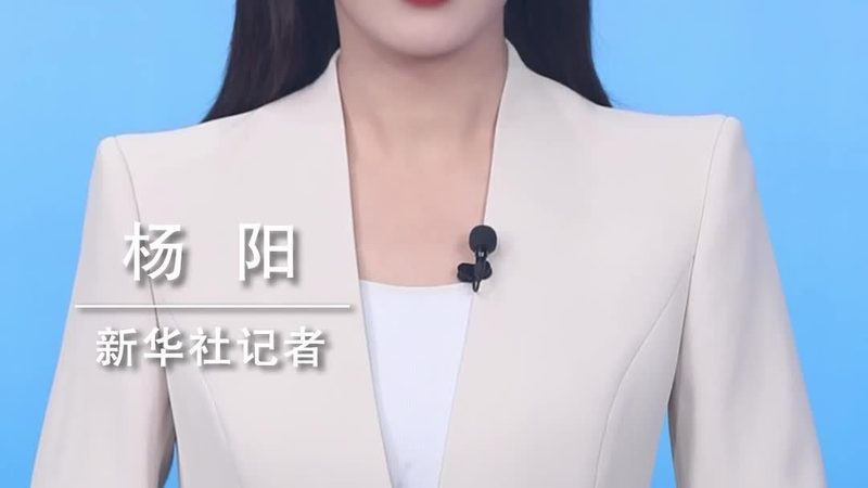 SaaS平台代理加盟售后服务规范：构建优质客户体验的关键